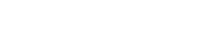 Carpet Ninjas
